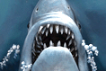 [2006-06-09] JAWS 3-D 무비 포스터