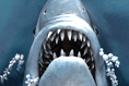 [2006-06-09] JAWS 3-D  